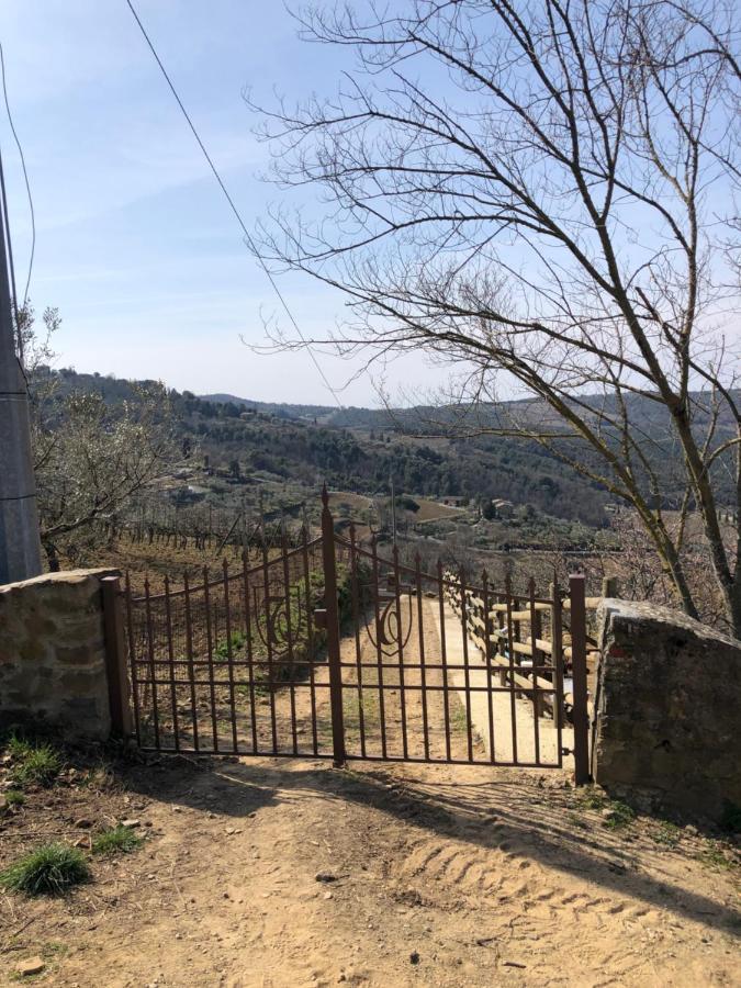 Podere Soccorso Casa Vigneto Montalcino Eksteriør billede