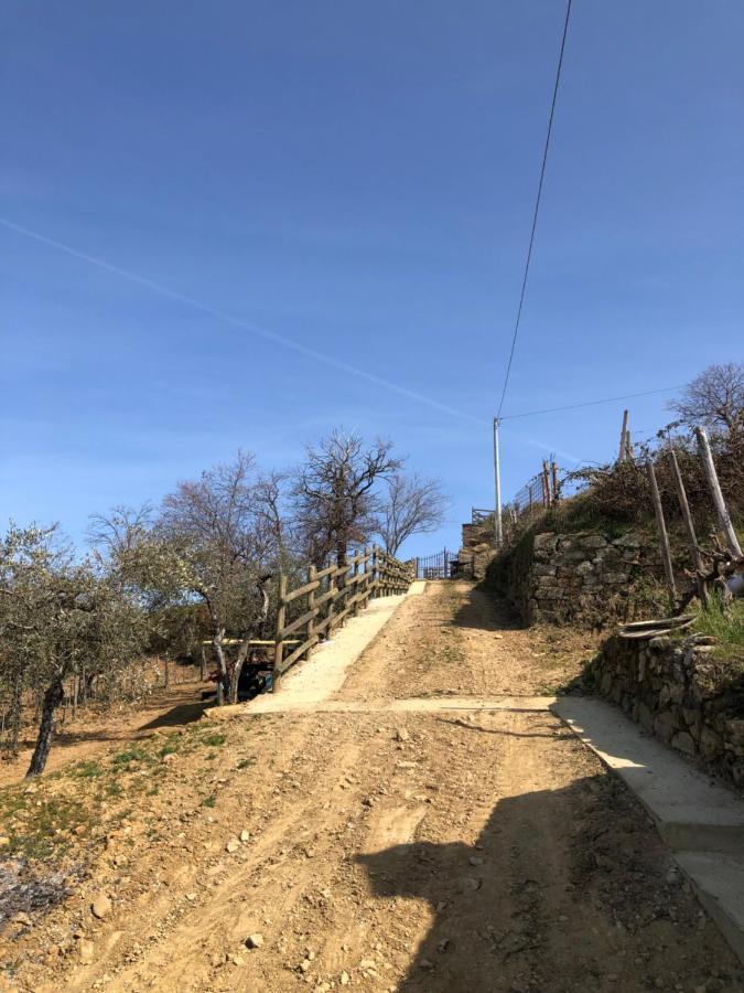 Podere Soccorso Casa Vigneto Montalcino Eksteriør billede