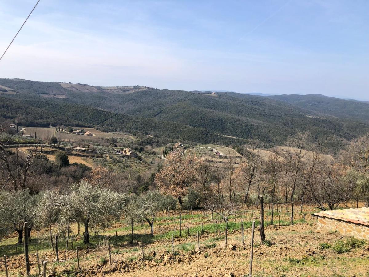 Podere Soccorso Casa Vigneto Montalcino Eksteriør billede