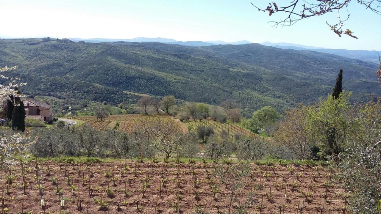 Podere Soccorso Casa Vigneto Montalcino Eksteriør billede