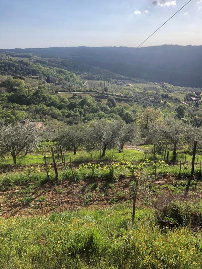 Podere Soccorso Casa Vigneto Montalcino Eksteriør billede
